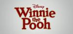Disney Winnie the Pooh Box Art Front